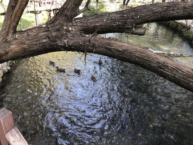 水磨沟风景区旅行图片 6