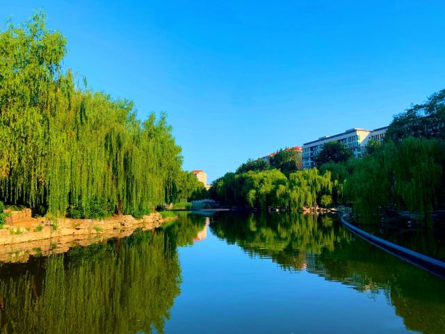 柳荫公园旅行图片 3