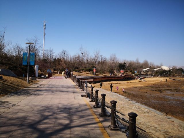唐岛湾滨海公园-观景台旅行图片 3