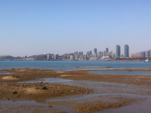 唐岛湾滨海公园-观景台旅行图片 1