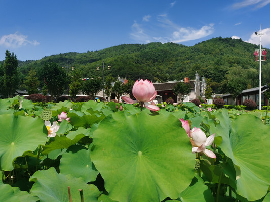双牌水库+树德山庄+李家大院+浯溪碑林,永州之北自驾行