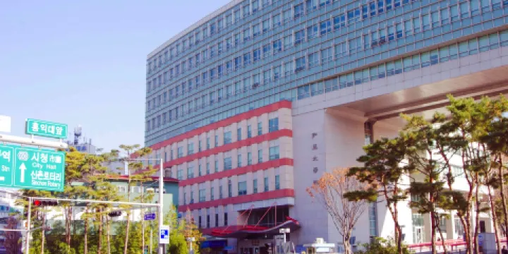 弘益大學(首爾校區)