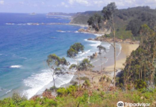 Aguilar Beach景点图片
