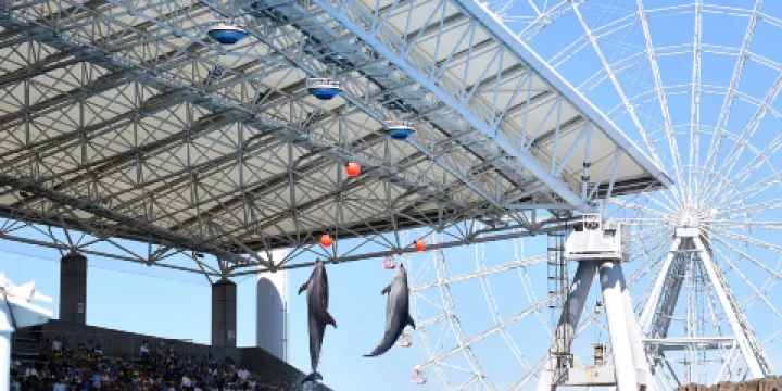 名古屋港水族館