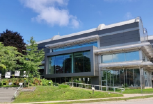 伦敦博物馆景点图片