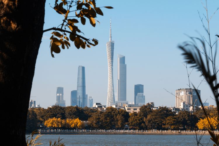 广州塔景点图片 11