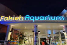 法基耶水族馆景点图片