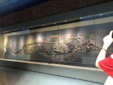 安徽省地质博物馆-合肥-_CFT0****7427