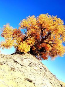 塔里木沙漠公路-且末-YoYo_5I6D6G3D