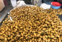 Ho Ho Food Station美食图片