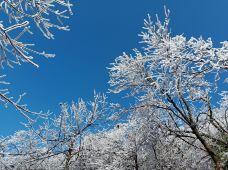 南岳衡山风景名胜区-衡阳-马踏龙雀