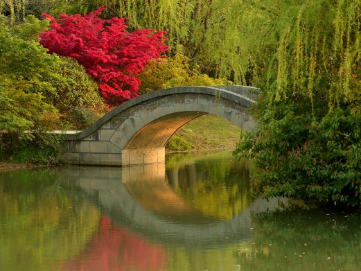 花开海上生态园
