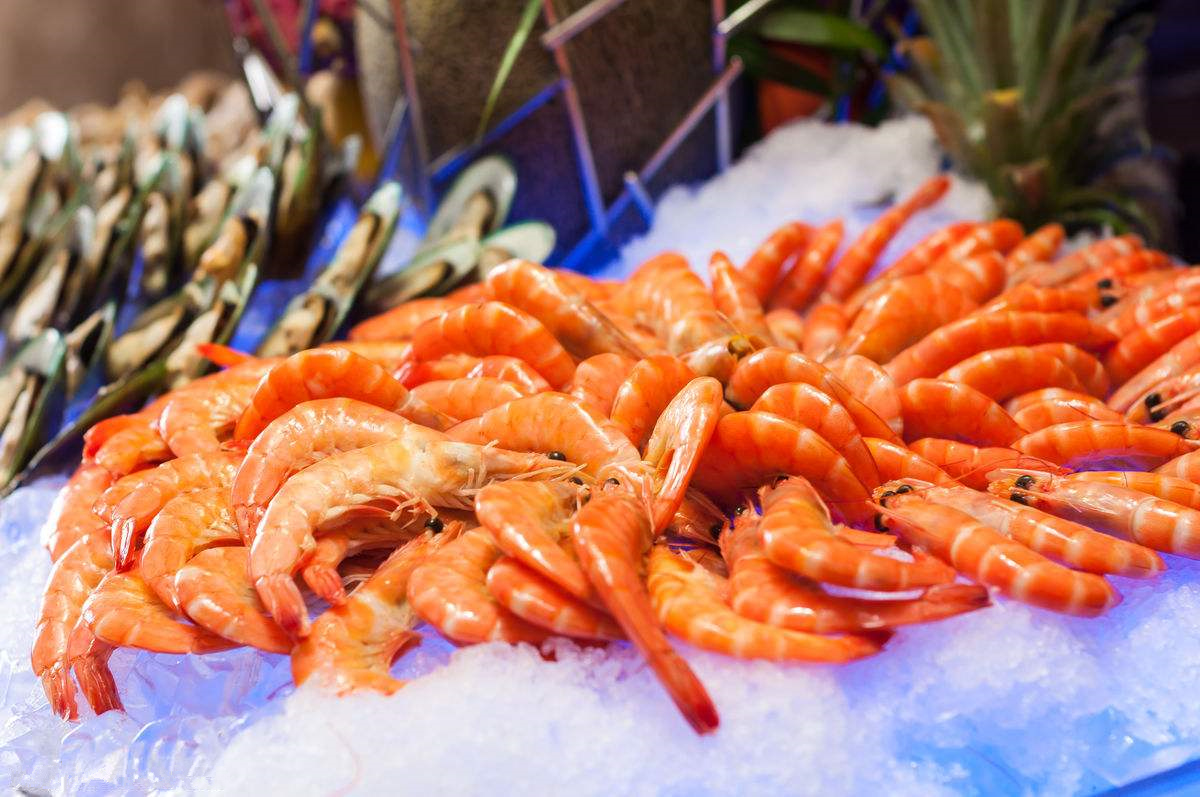 河源巴伐利亚庄园福朋喜来登酒店·宜客乐西餐厅餐厅图片