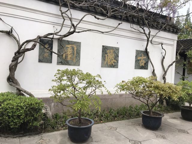 古藤园旅行图片 1