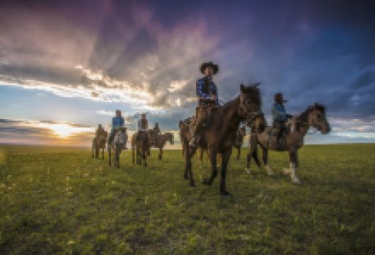 老高马场(额尔古纳市黑山头店)景点图片