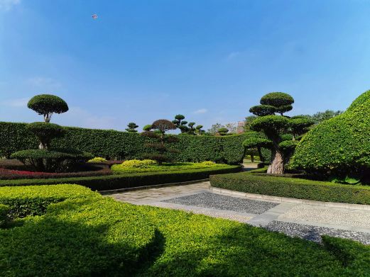 广西珍贵树种展示园