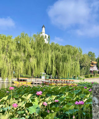 荷香溢远 太液涟漪 北海公园荷香入佳境