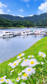 武当山机场/白浪汽配城/工业园游记图片] 夏季的太极湖美出天际，随手一拍都是屏保……