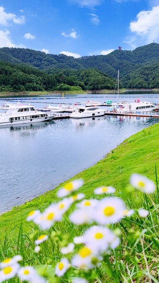 夏季的太极湖美出天际,随手一拍都是屏保……