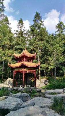 大围山国家森林公园-浏阳-chenweiwen