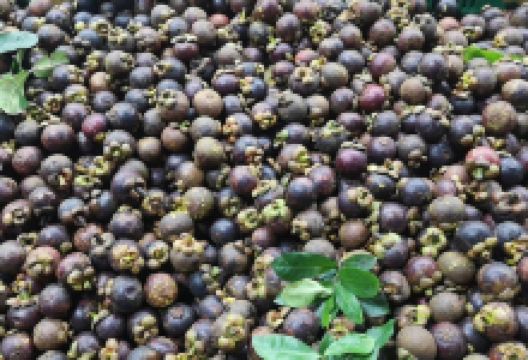 王姐水果批发零售店购物图片