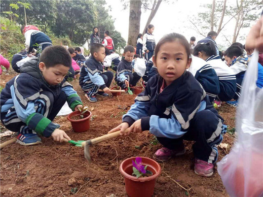 广州海珠区你没有去过的度假圣地