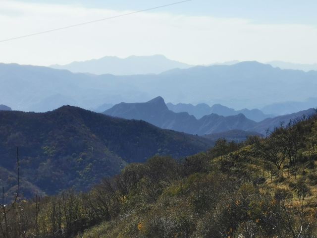 玫瑰谷旅行图片 2