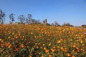 花果山风景区游记图文-连云港三日游 深秋的连云港长这样
