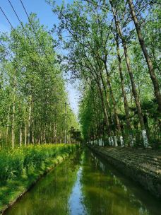 滨湖国家森林公园-合肥-大眼世界