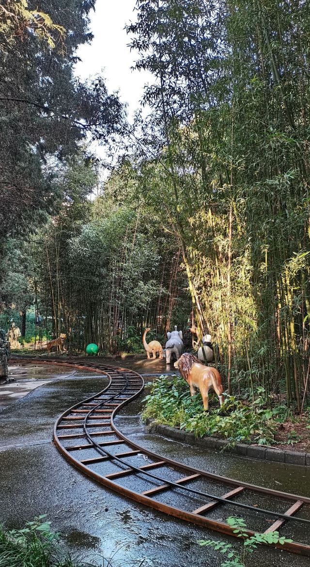 双秀公园旅行图片 2