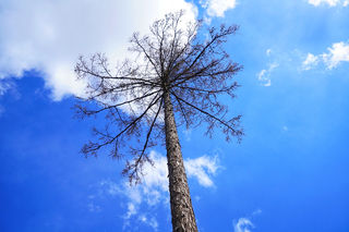 五月，我单枪匹马过草原