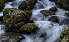 野趣沟-河源-C-IMAGE