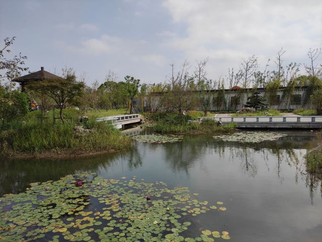 合庆郊野公园旅行图片 4