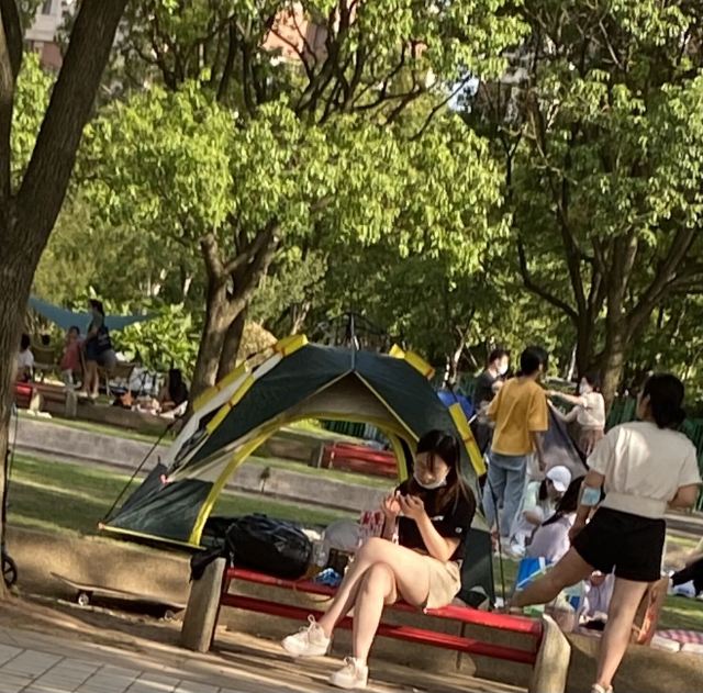 新江湾城公园旅行图片 4