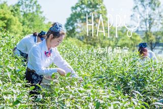 爱在春天，get雅安名山春日游玩攻略