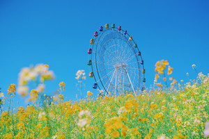 犍为游记图文-四川犍为旅游必玩，坐百年火车，观千年庙镇，游万年湖泊，赏亿年桫椤