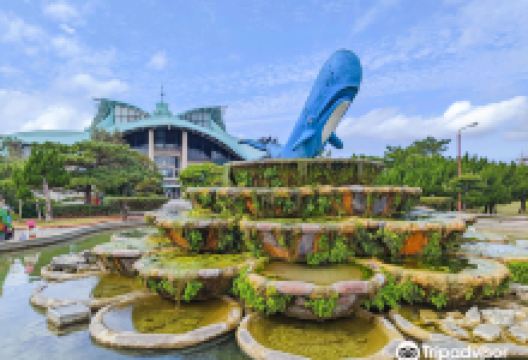 宜野湾海滨公园景点图片