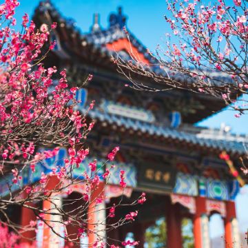 南京+扬州5日4晚自由行