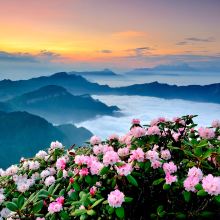 雅安图片