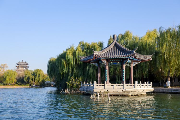 大明湖畔