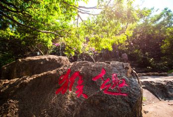 陵水南湾猴岛+呆呆岛一日游【南湾猴岛索道/船票+定点接送】【纯玩猴岛单景区】