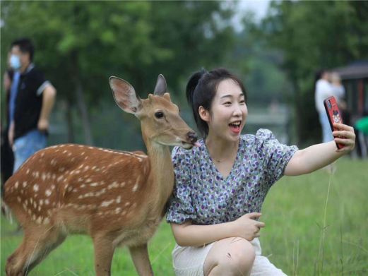 长生鹿苑
