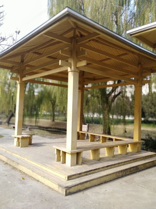 祥和公园旅行图片 1