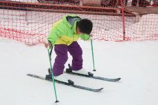 磐安-YoYo_6T6T3I4C