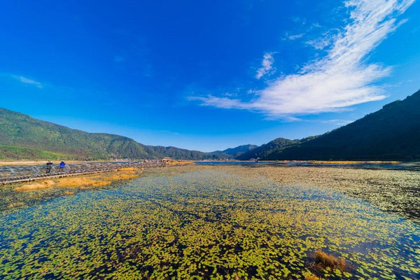 世界湿地日丨一起来守护腾冲北海湿地的“湿”与远方！