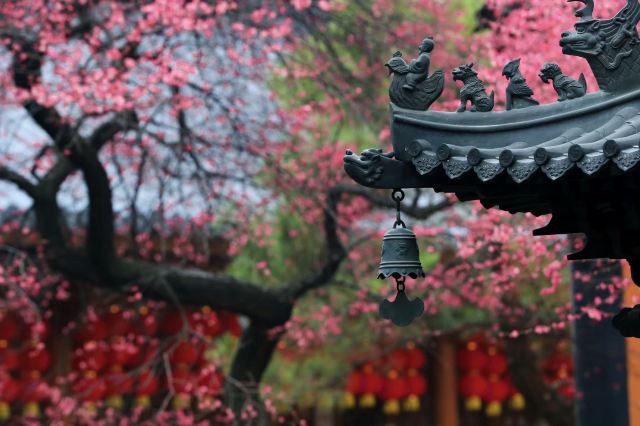 湖州铁佛寺旅行图片 3