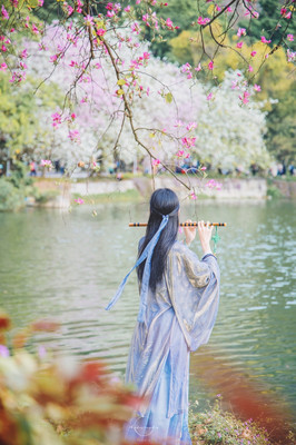 广东肇庆 |用48小时,解锁2021年第一场旅行