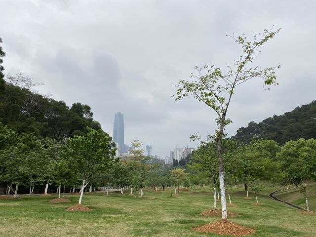 石门公园旅行图片 2