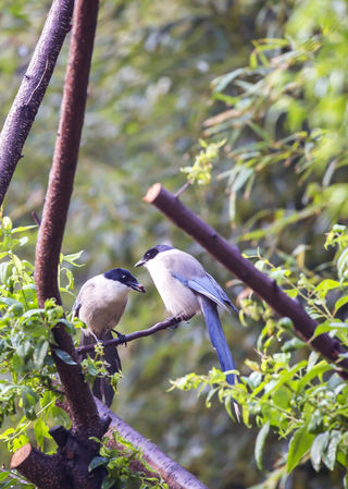 清风化雨，思念绵长。