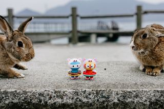 日本 | 说给四国的五句情话